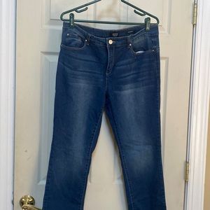 Gently worn Jones New York signature Madison slim